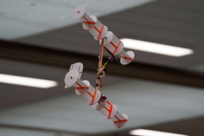 Saalflugtag 2023 - 36